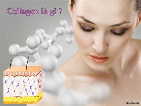 Collagen là gì?