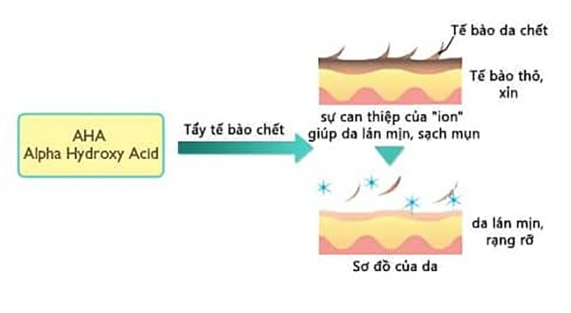 Tác dụng của AHA với làn da của bạn