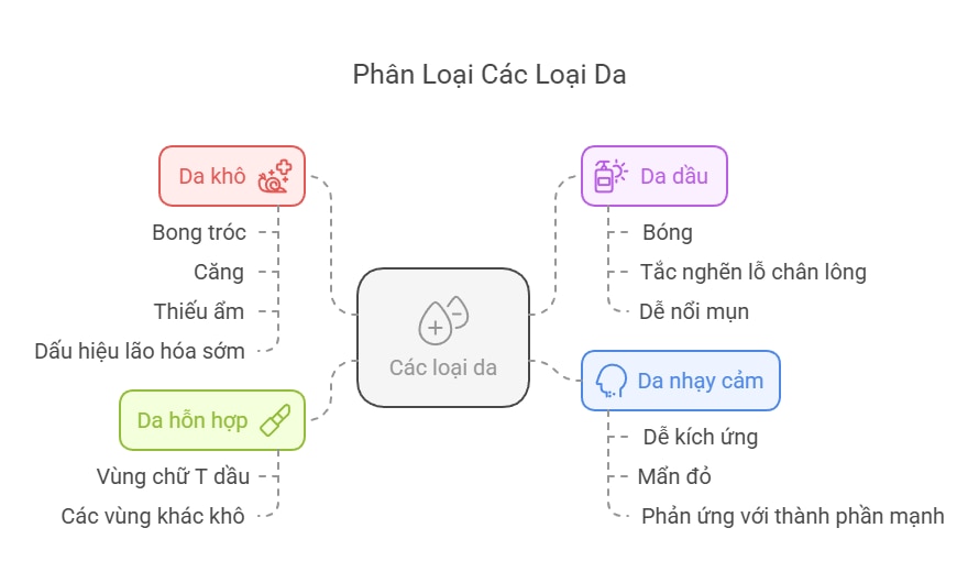 Xác Định Loại Da Và Nhu Cầu Cụ Thể