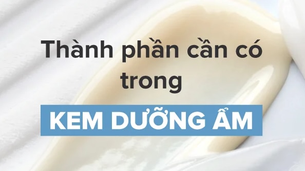 Hiểu Rõ Các Loại Kết Cấu Kem Dưỡng Ẩm