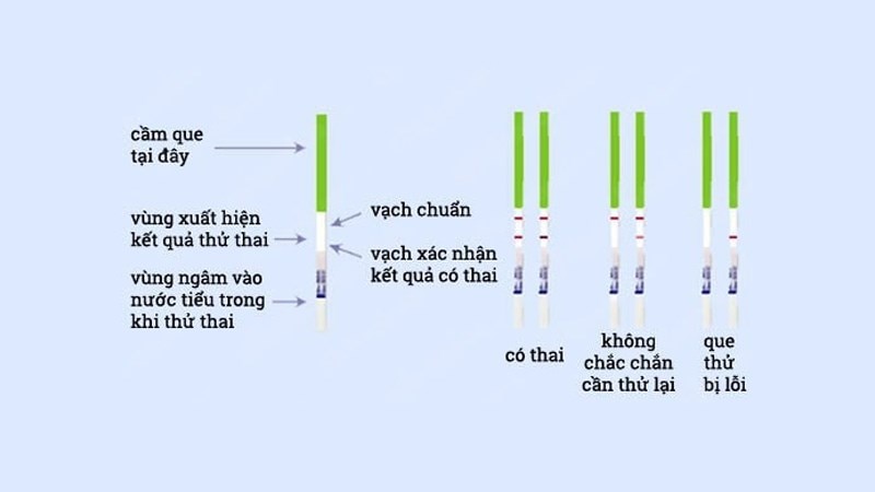 Cách dùng que thử thai ở nhà chính xác nhất