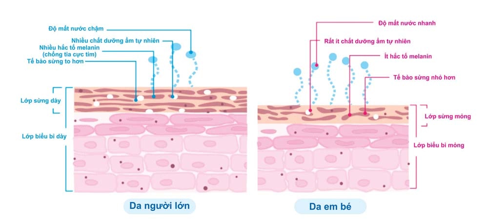 Đặc Điểm Của Da Trẻ Em