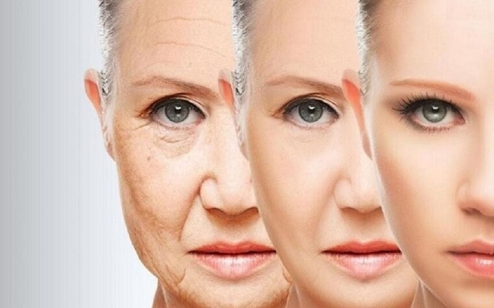 Chiến Lược Chống Lão Hóa Toàn Diện Từ Trong Ra Ngoài