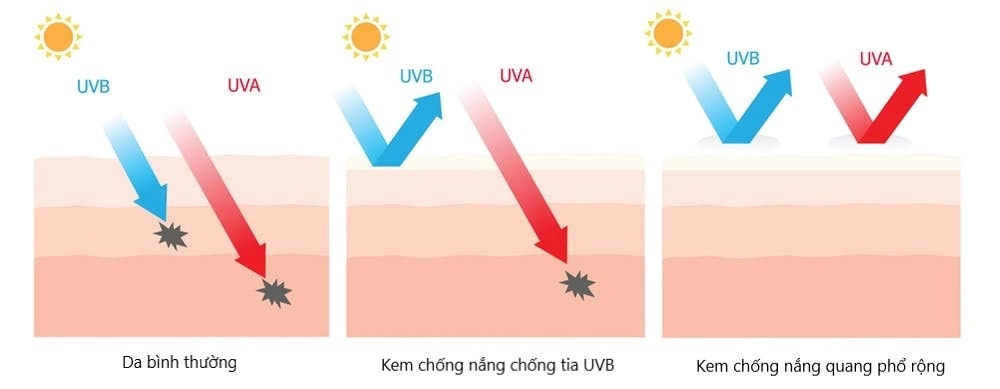 Kem chống nắng phổ rộng có khả năng bảo vệ da khỏi cả tia UVA và UVB