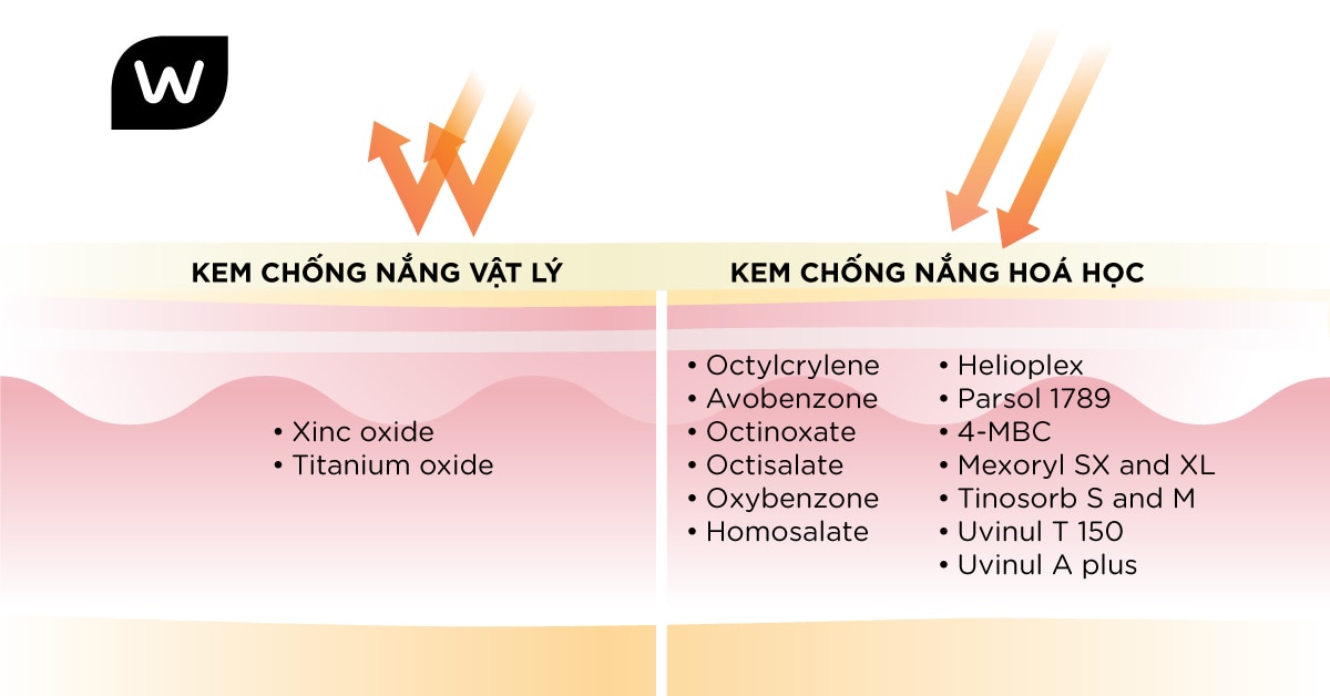 Sản Phẩm Kem Chống Nắng Vật Lý Nổi Bật