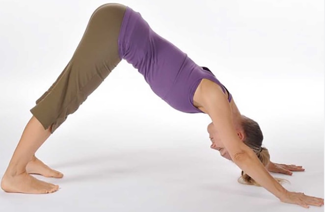 Tư thế Chó Úp Mặt (Downward Dog)