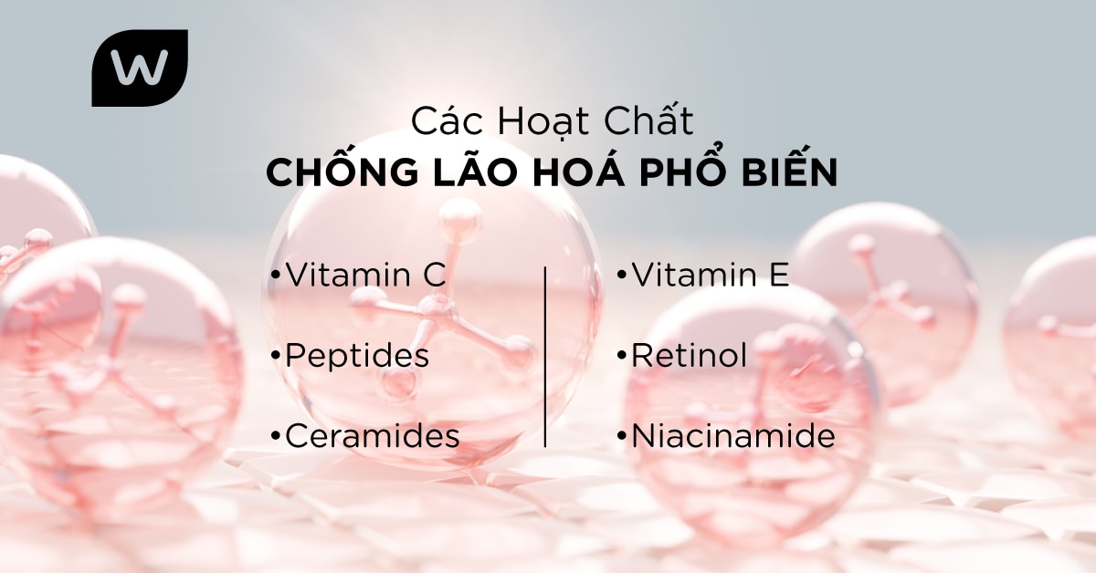 Các hoạt chất chính trong sản phẩm chống lão hóa