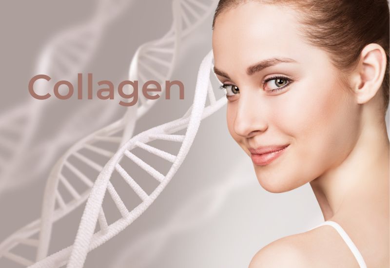 Lợi ích khi sử dụng collagen Hàn quốc