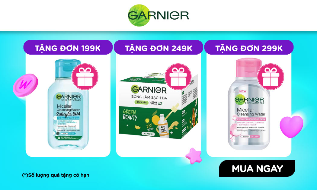 99-GARNIER-VN image