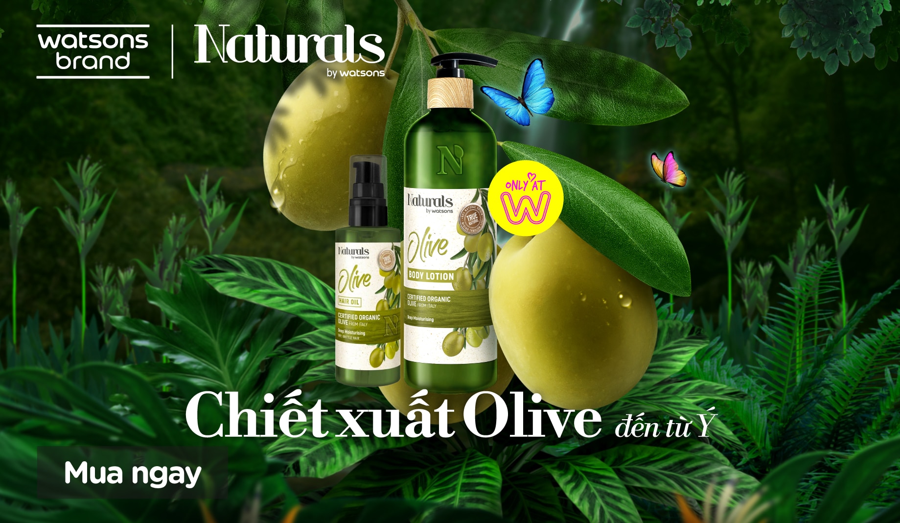 olive naturals by watsons