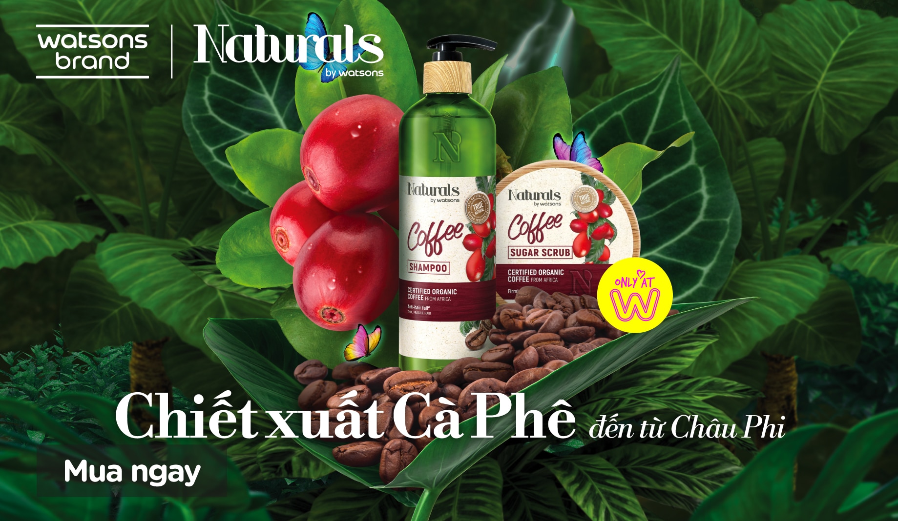 coffee naturals by watsons