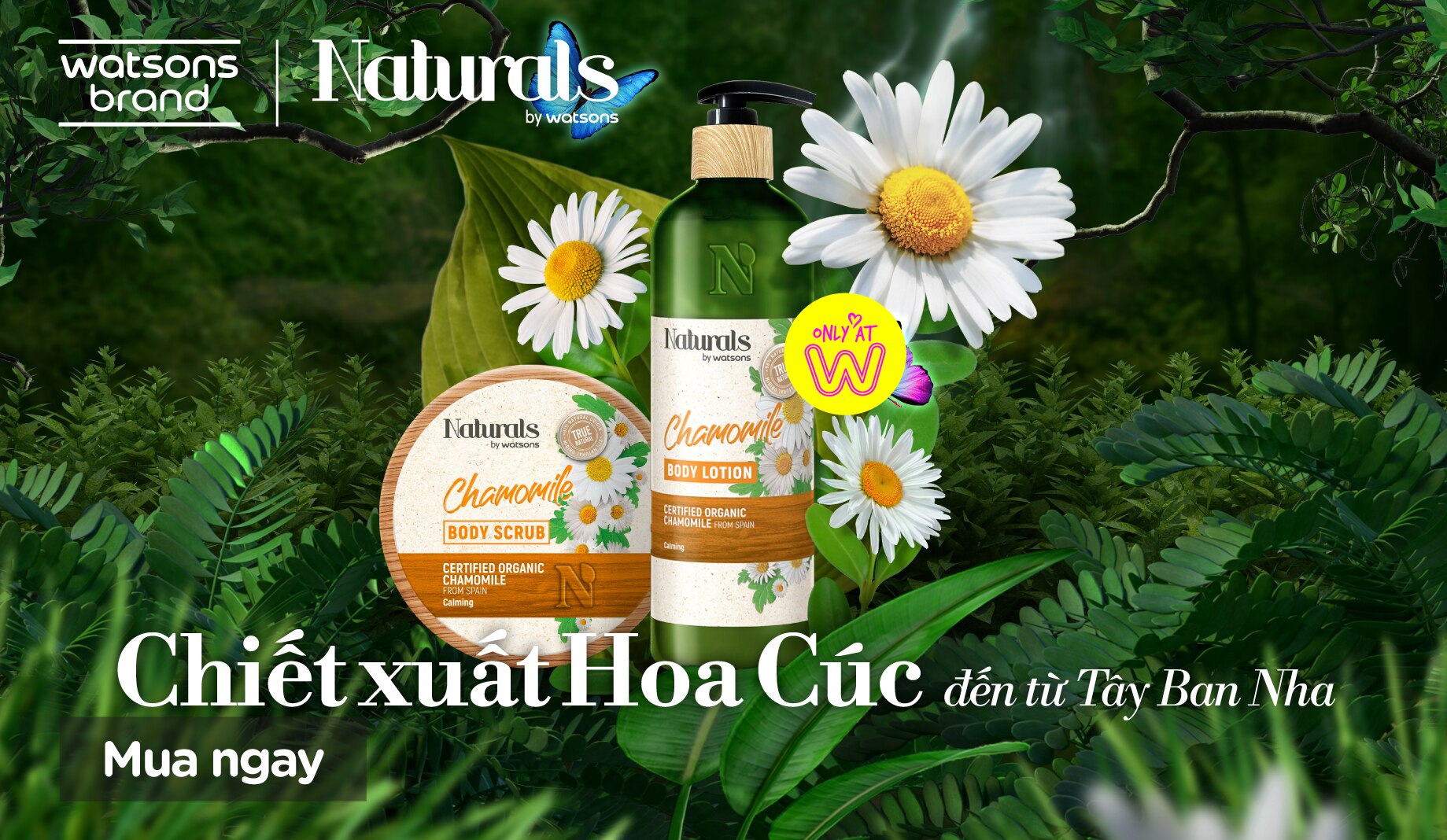 chamomile naturals by watsons