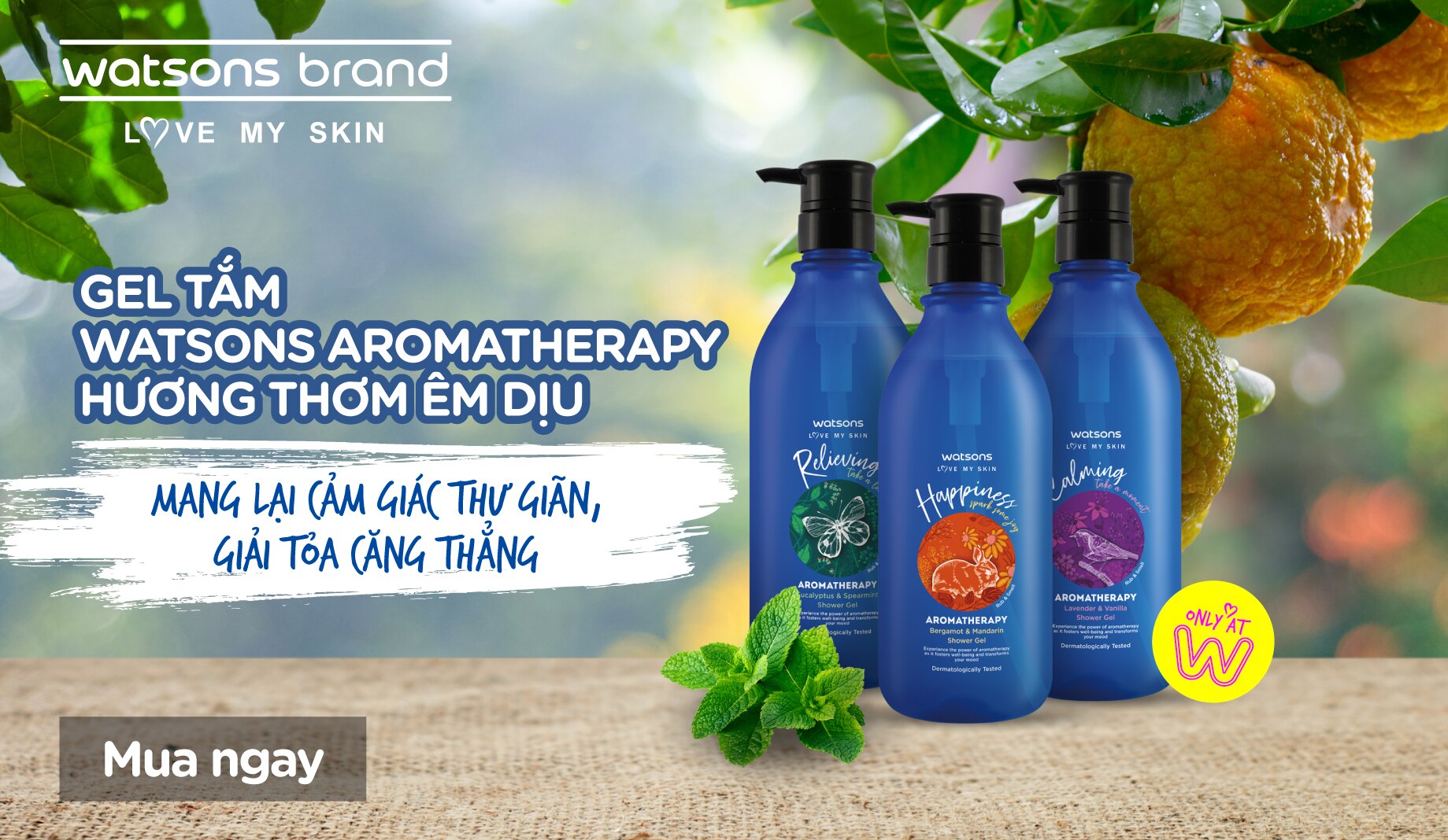 gel-tam-aromatherapy-watsons-13