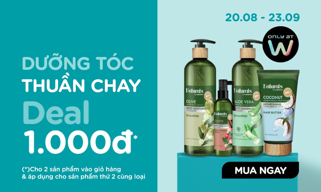 update pro9 2026 DUONG TOC VN image